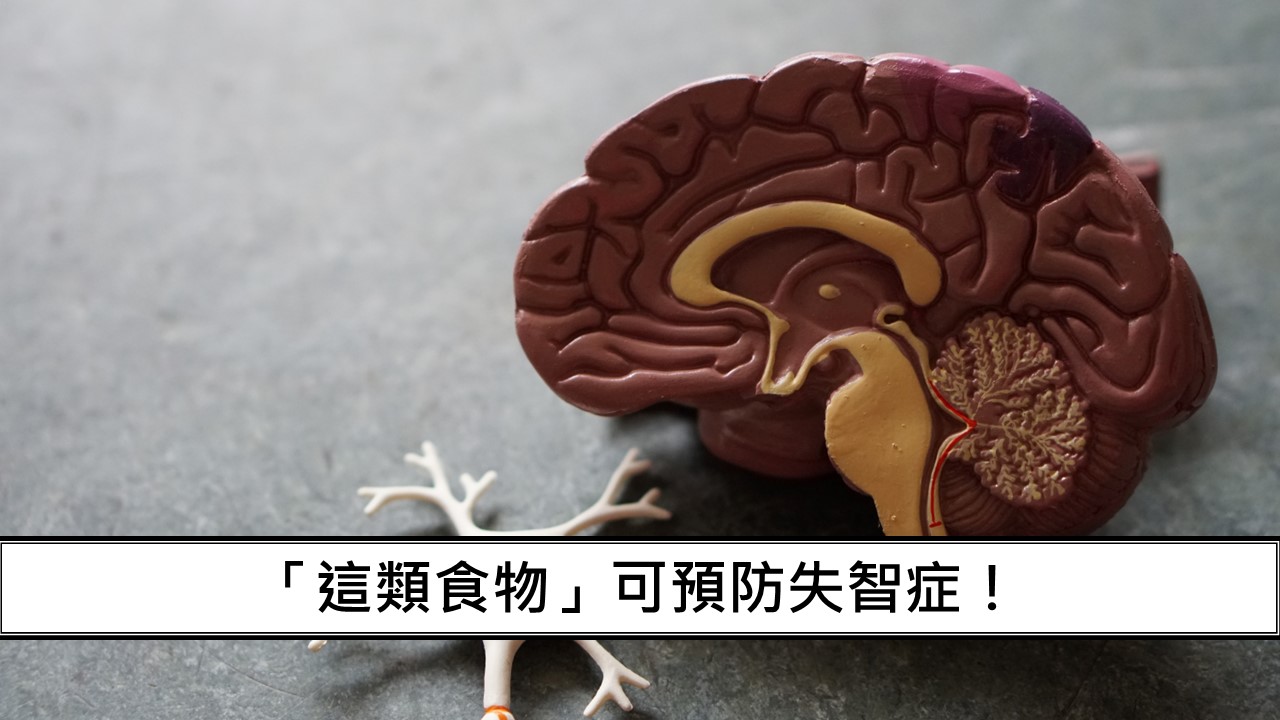 54_「這類食物」可預防失智症！
