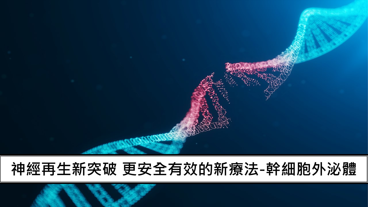 04_神經再生新突破 更安全有效的新療法-幹細胞外泌體-1