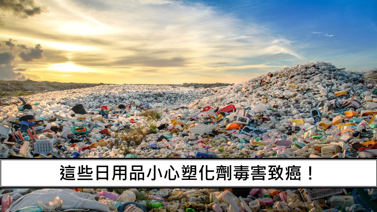 113_這些日用品小心塑化劑毒害致癌！