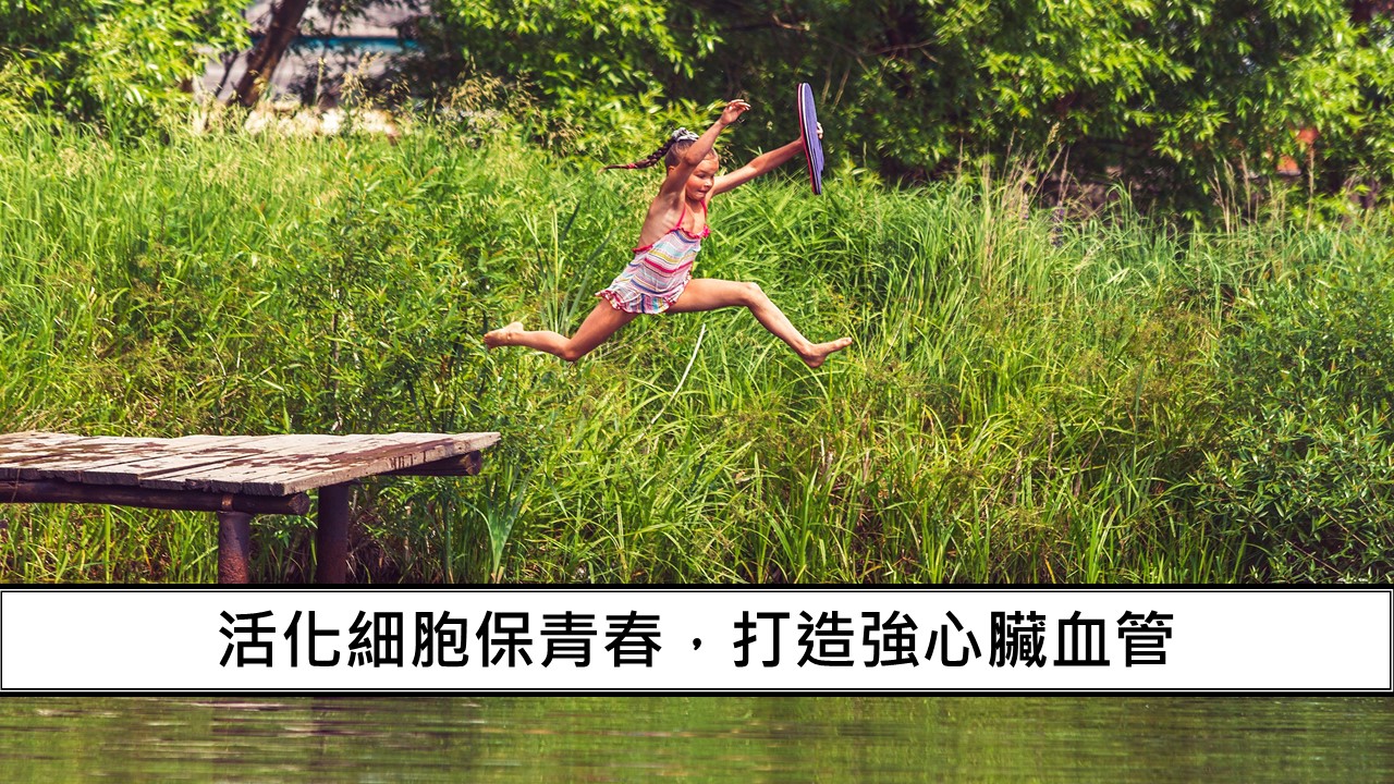 13_活化細胞保青春，打造強心臟血管