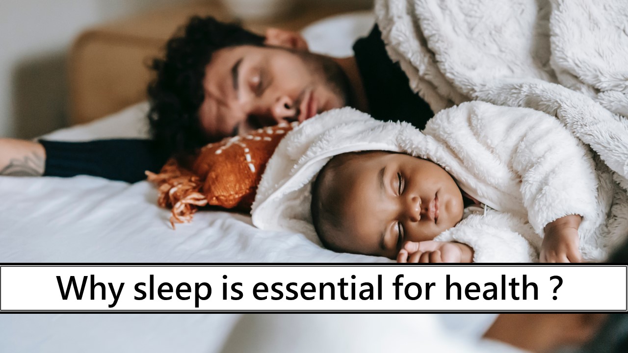 144_Why sleep is essential for health？