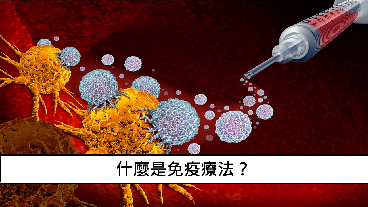 14_什麼是免疫療法？