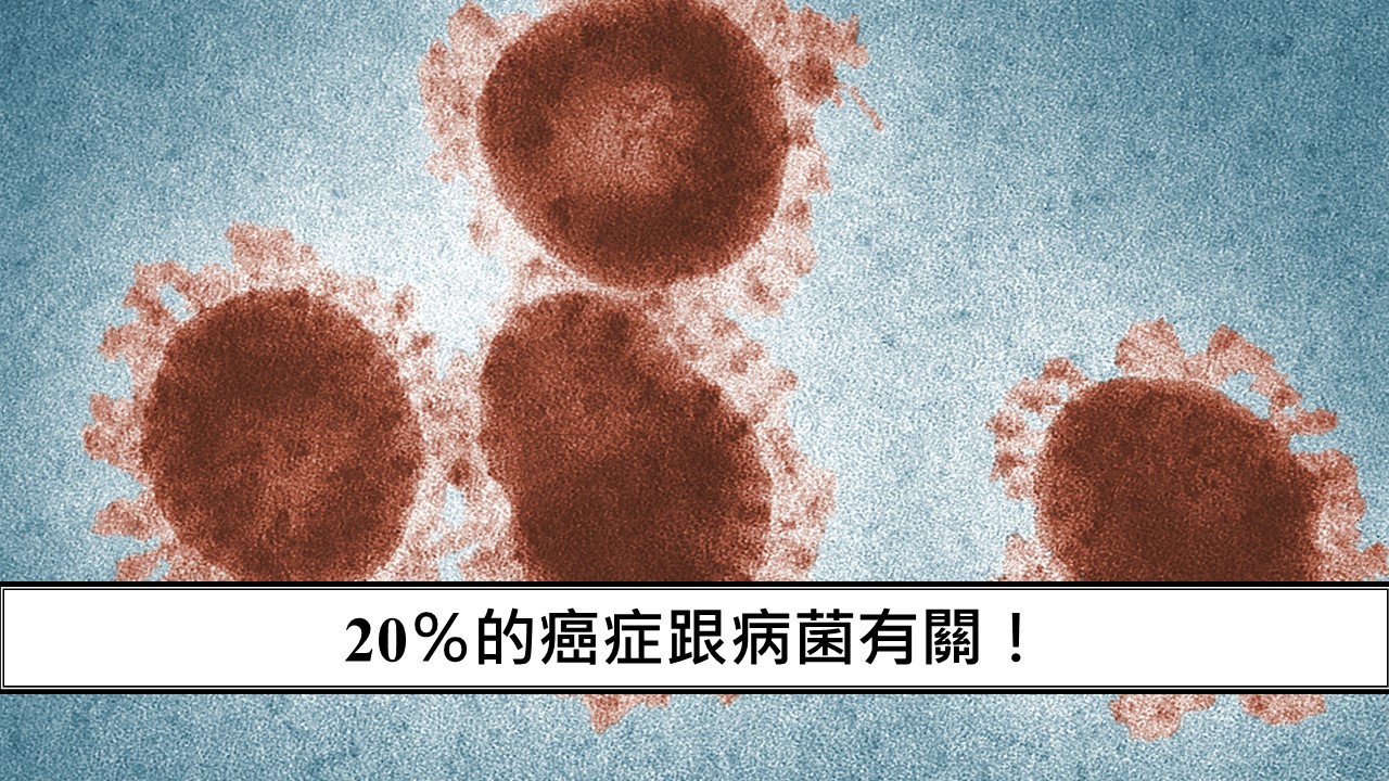 159_20％的癌症跟病菌有關！