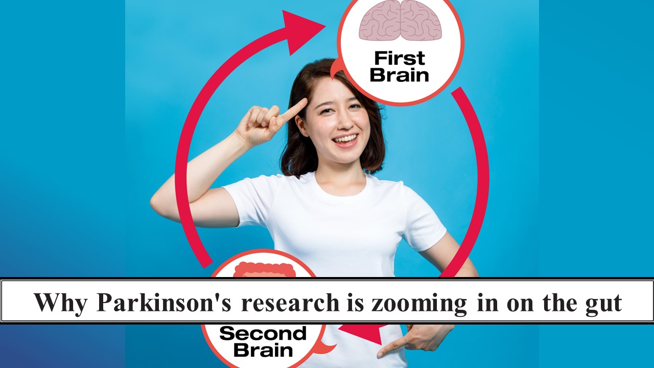 Why Parkinson's research is zooming in on the gut