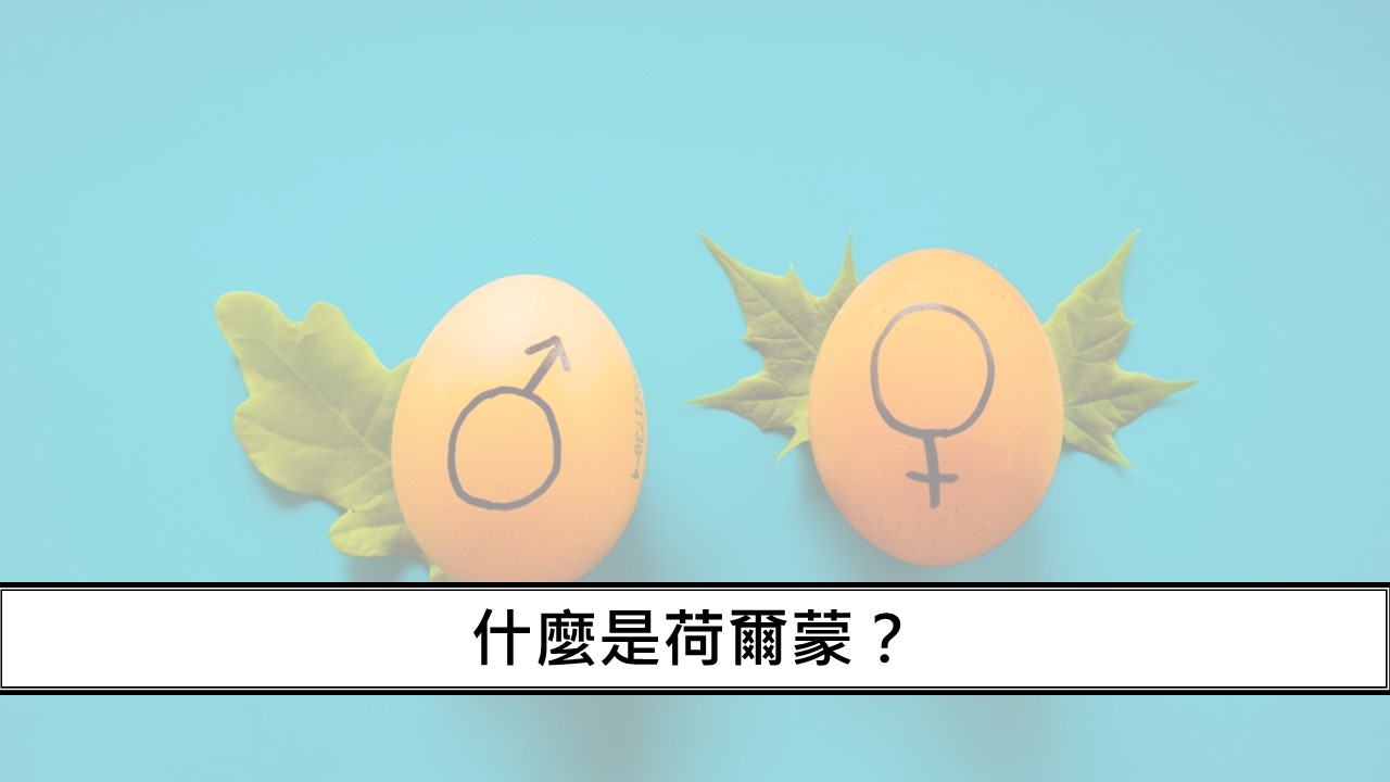 23_什麼是荷爾蒙？-1