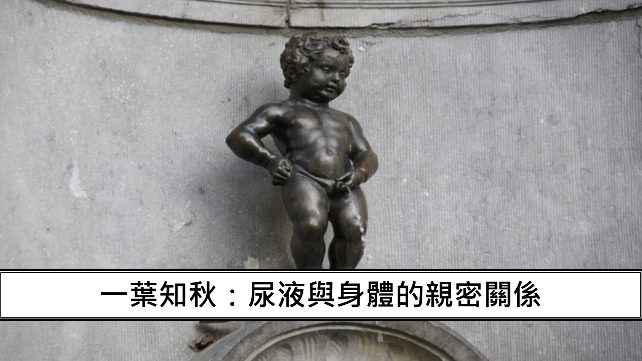 30_一葉知秋：尿液與身體的親密關係-1